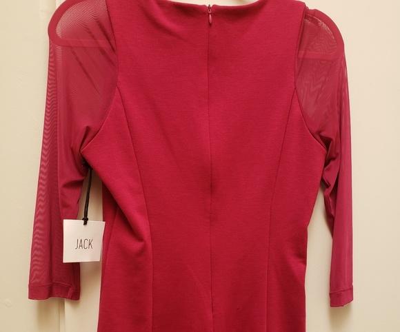Jack by BB Dakota Dresses & Skirts - Bebe Dakota Jack pink back zip sheer sleeve dress